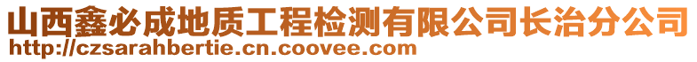 山西鑫必成地質(zhì)工程檢測有限公司長治分公司