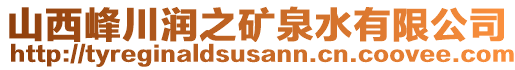 山西峰川潤之礦泉水有限公司