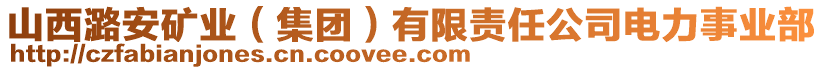 山西潞安礦業(yè)（集團(tuán)）有限責(zé)任公司電力事業(yè)部