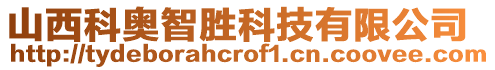 山西科奧智勝科技有限公司