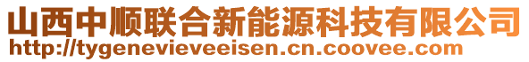 山西中順聯(lián)合新能源科技有限公司