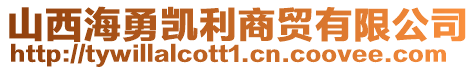 山西海勇凱利商貿(mào)有限公司