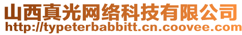 山西真光網絡科技有限公司