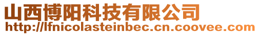 山西博陽科技有限公司
