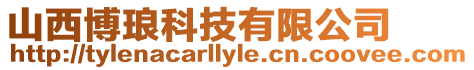 山西博瑯科技有限公司