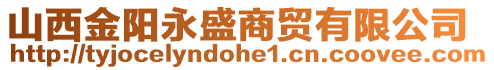 山西金陽永盛商貿(mào)有限公司