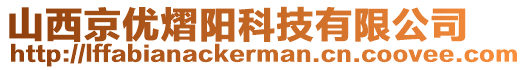 山西京優(yōu)熠陽科技有限公司