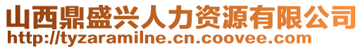 山西鼎盛兴人力资源有限公司