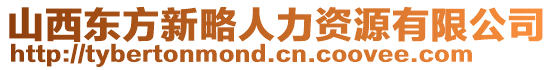 山西東方新略人力資源有限公司