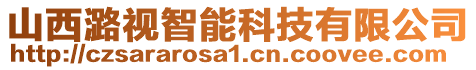 山西潞視智能科技有限公司