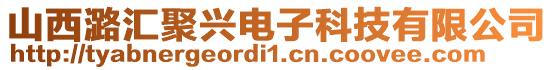 山西潞匯聚興電子科技有限公司