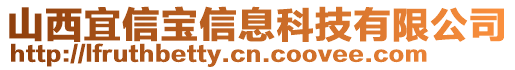 山西宜信寶信息科技有限公司