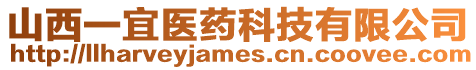 山西一宜醫藥科技有限公司