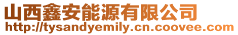 山西鑫安能源有限公司