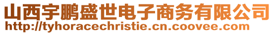 山西宇鵬盛世電子商務有限公司