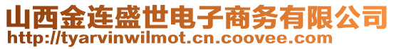 山西金連盛世電子商務有限公司