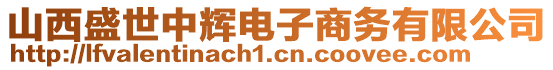 山西盛世中輝電子商務有限公司