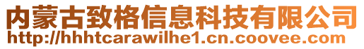 內(nèi)蒙古致格信息科技有限公司