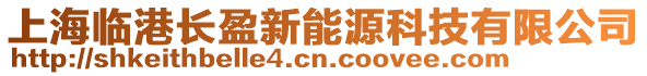 上海臨港長盈新能源科技有限公司