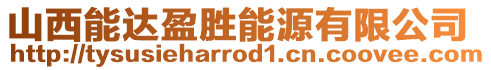 山西能達盈勝能源有限公司