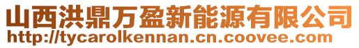 山西洪鼎萬盈新能源有限公司