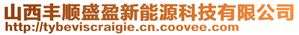 山西豐順盛盈新能源科技有限公司