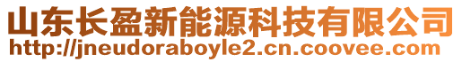 山東長盈新能源科技有限公司