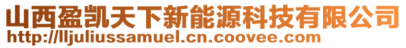 山西盈凱天下新能源科技有限公司