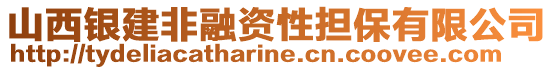 山西銀建非融資性擔(dān)保有限公司