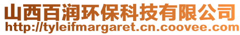 山西百潤環(huán)保科技有限公司