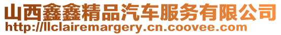 山西鑫鑫精品汽車服務有限公司