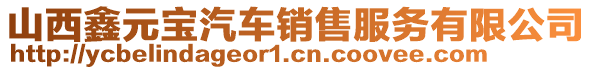 山西鑫元寶汽車銷售服務(wù)有限公司