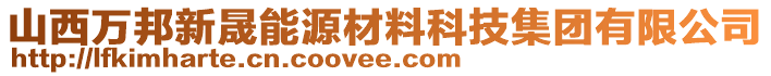 山西萬邦新晟能源材料科技集團有限公司