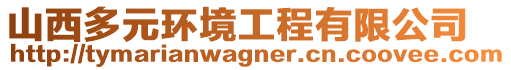 山西多元環(huán)境工程有限公司