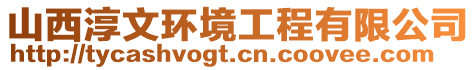 山西淳文環(huán)境工程有限公司