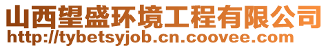 山西望盛環(huán)境工程有限公司