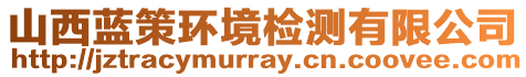 山西藍(lán)策環(huán)境檢測(cè)有限公司