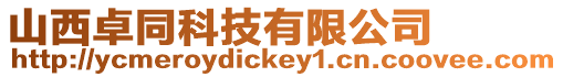 山西卓同科技有限公司