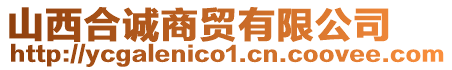 山西合誠商貿(mào)有限公司