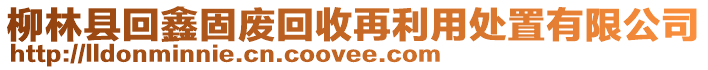 柳林縣回鑫固廢回收再利用處置有限公司