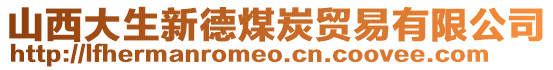 山西大生新德煤炭貿(mào)易有限公司