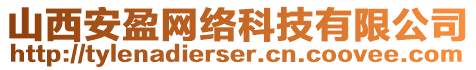 山西安盈網(wǎng)絡(luò)科技有限公司