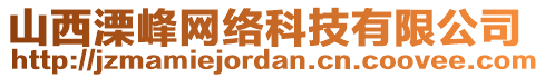 山西溧峰網(wǎng)絡(luò)科技有限公司