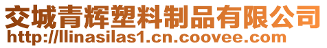 交城青輝塑料制品有限公司