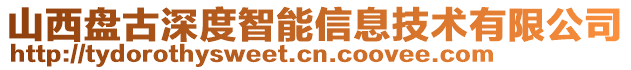 山西盤古深度智能信息技術(shù)有限公司