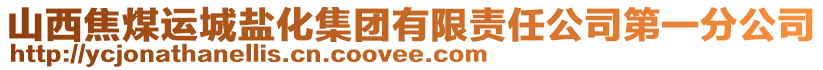 山西焦煤運城鹽化集團有限責任公司第一分公司