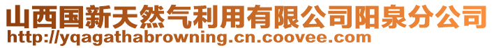 山西国新天然气利用有限公司阳泉分公司