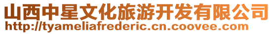 山西中星文化旅游開發有限公司