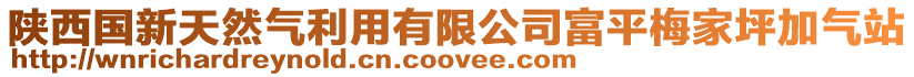 陜西國(guó)新天然氣利用有限公司富平梅家坪加氣站