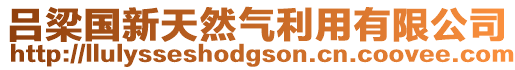 呂梁國新天然氣利用有限公司